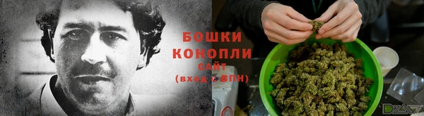 спайс Беломорск