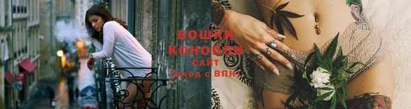 крисы Белокуриха