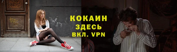 крисы Белокуриха