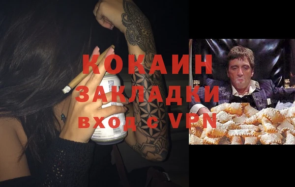 крисы Белокуриха