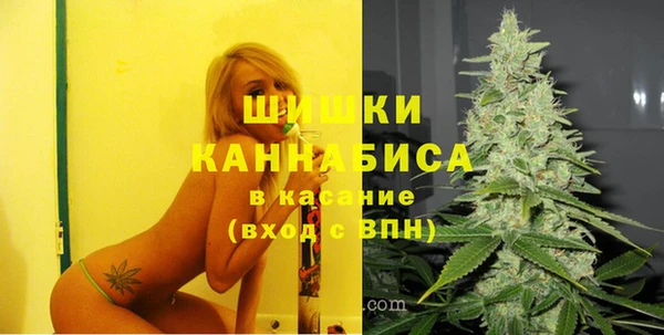 крисы Белокуриха