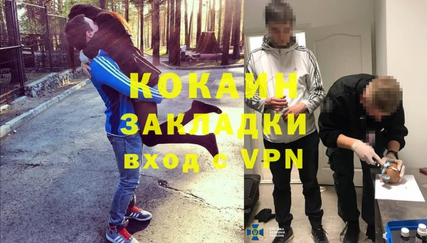 крисы Белокуриха