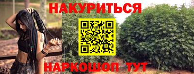 индика Кунгур