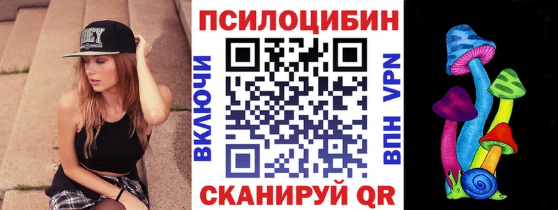Псилоцибиновые грибы Psilocybine cubensis  Горячий Ключ 