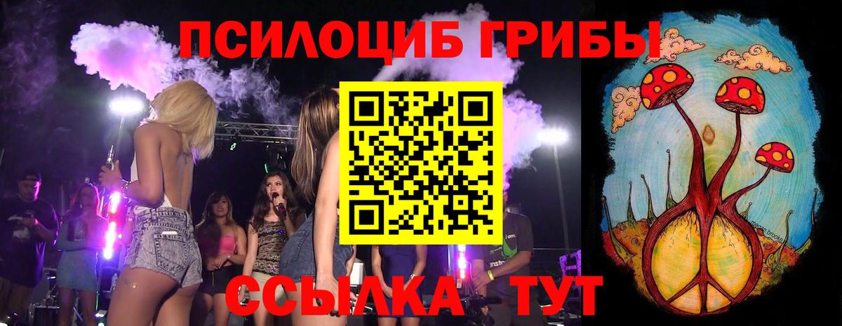 Галлюциногенные грибы Psilocybe Горячий Ключ