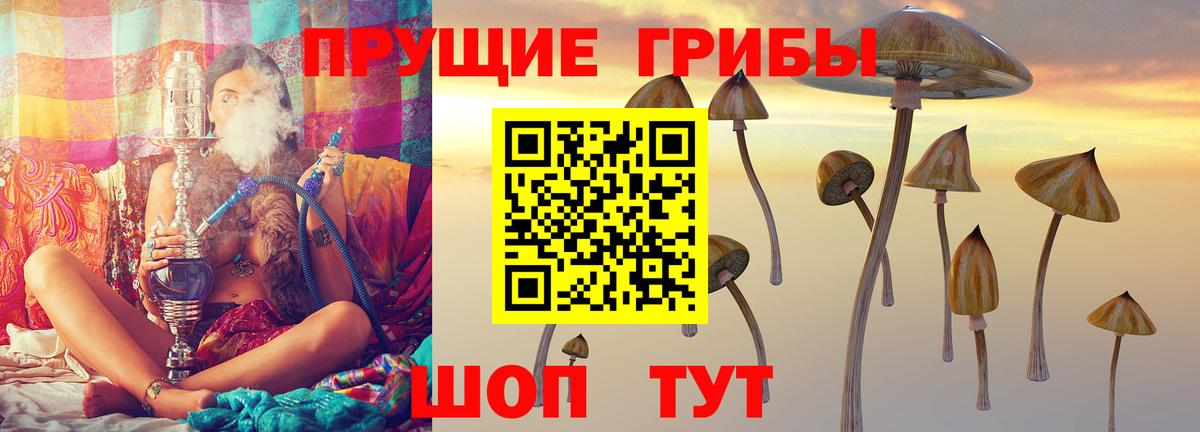Горячий Ключ  Галлюциногенные грибы Psilocybe  Вход с VPN 